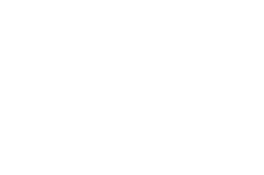 Victoria Logo feher